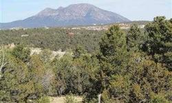 RARE LEVEL LOT that includes underground utilities (electric and phone), well-share with prolific well, lovely custom homes in area, easy access to I-40 and VIEWS of mountain ranges. Lots of beautiful trees for privacy, ready to clear for build. Small