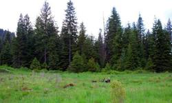 Just outside of Santa, Idaho is the wooded 46.056AC of Prospectors Grove. With its year round access and mostly level topography there are several places to build a home or cabin. Yet with the heavy growth of young trees one can still have privacy while