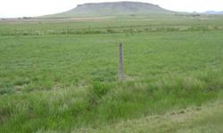 SPECTACULAR BUTTE AND ROCKY MOUNTAIN FRONT VIEWS FROM THIS FLAT PIECE OF AGRICULTURAL GROUND THAT WOULD MAKE A NICE HOMESITE OR DRY LAND CROP.PARTLY FENCED. GOOD COMMUTING DISTANCE TO GREAT FALLS. ABOVE THE SUN RIVER. OWNER FINANCING AVAILABLE. CURRENTLY