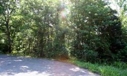 Desirable Sawmill Subdivision, beautiful tree filled lot on a cul-de-sac. 0.81 acre, gently sloping. City water and sewer. Lots 15, 16 & 17 are available individually or all together for a discounted price.
Listing originally posted at http