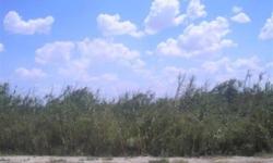 Here it is a place to relax on the Rio Grande! Build your weekend retreat or your new home. Great place to fish and have a good time with your family. Buyer at buyer expense will install well and septic.Listing originally posted at http