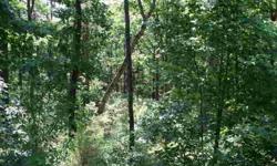 Desirable Sawmill Subdivision, beautiful tree filled lot on a cul-de-sac. 0.80 acre, gently sloping. City water and sewer. Lots 15, 16 & 17 are available individually or all together for a discounted price.
Listing originally posted at http