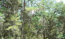 TWO LOT PACKAGE ONE NICE BUILDING SITE*LARGE PINES & OAKS*NOT EFFECTED BY FIRE..
Listing originally posted at http