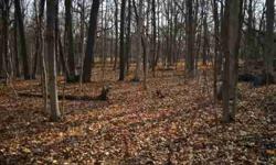 Beautiful, level wooded lot @ Lake Wildwood, a private gated lake community approximately 1.5 hrs SW of Chicago. All lake amenities included with membership. 2 lakes, 2 beaches, marina, lodge, pool, campground, parks, pavillion, concession area, picnic
