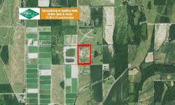40+/- acres fenced pasture and home site in Franklin Parish southeast of Winnsboro. There is a 38'x48' barn. Utilities available. A double-wide trailer, cattle shute and panels do not convey. Minerals