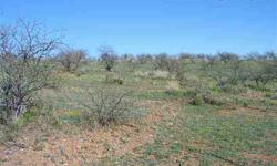 HIGH PARCEL WITH STUNNING VIEWS. PRIVATE WELL AND SEPTIC INSTALLED. PHONE AND POWER AT LOT LINE. LOCATED IN CONVIENT AREA ALONG ARIVACA RD IN MOYZA RANCH AREA. LOTS OF GOV'T LAND NEAR BY.Listing originally posted at http