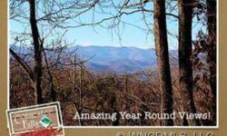 Fabulous view lot on one of the most coveted streets in Connestee Falls. No hype here...there are views all the way to the Blue Ridge Parkway! Enjoy everything Connestee has to offer...golf, tennis, hiking trails, 4 lakes, and a mountain lifestyle that