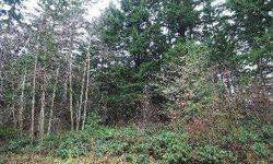 Beautiful level 5 acres near Hwy 302 on Key Peninsula. Wooded lot is covered in mature conifer and is awaiting your custom home. Value in timber. Great rural neighborhood, underground power and private road. Quick commute to Gig Harbor or Belfair.
Listing