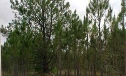 21 ac's of planted pines, where game is abound Just reduced $10,000.00Listing originally posted at http