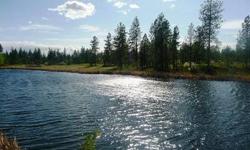Bring your 4-wheelers! This is your opportunity to own 39.81 acres located 13 miles from Francis & Division. This property is an outdoorsmans paradise. Wildlife include deer, elk, moose, quail, grouse and numerous bird species. No improvements to this