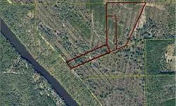 Holy Mackeral! If you want secluded and CHEAP CHEAP CHEAP land, this is your ticket! 49 Acres of bank owned property adjacent to but not directly on the Suwannee River. Very wooded parcel of irregular shape. Not much for neighbors out here! Great