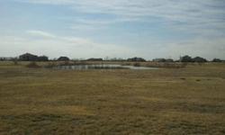 Nice 3 acre lot located in the back of a quiet prestigious neighborhood in developing Celina. Pond located on property. Easy access to future Tollway Corridor expansion. Horses are permitted (1 head per acre). A must see!
Listing originally posted at http