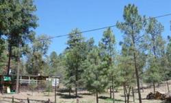 Great Buy! Nestled in the trees of Ruidoso, this remodeled home boasts NEW FLOORS though out. New real wood floors, carpet, tile in Bathrooms, some fresh paint, and more, make this piece of Ruidoso even more attractive. A 600 square ft covered porch,