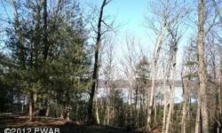 VIEWS OF LAKE WALLENPAUPACK - - - includes newly built BOAT SLIP on 1 acre wooded parcel. Features SURVEY & CURRENT SEPTIC PERMIT. Cleared Homesite & READY TO BUILD. Private, secluded setting overlooking the Lake. Fantastic Winter view. Take a look today.