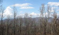 Beautiful lot sits atop the ridge in small neighborhood. Year round mountain views to both north and south (overlooking Beaverdam Valley. Peaceful setting filled with songbirds. 1.8 miles to Blue Ridge Parkway entrance & hiking on the "Mountan to Sea"