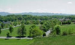 Enjoy mountain views in this planned community of executive style homes with awesome views of the surrounding area. This is a great 1.46 acre lot for building a custom home. Huntington Green features green space, tree-lined streets, underground