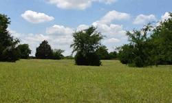 Beautiful treed pasture with sandy loam soil right outside of collinsville between westline rd and fm3164.