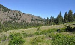 Great 11.41 acre property is surrounded by National Forest on three sides. This property is a great mix of views, trees, and meadows! Multiple building sites to choose from! Listing agent and office