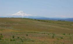Amazing view of Mt. Adams and Mt. Rainier! Valley view is excellent as it sweeps across from West to East. On end of cul de sac on a private rd. Surveyed, property corners marked. Very close to DNR land for hunting, horseback riding, etc. Power available