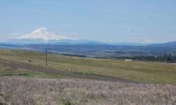 Amazing view of Mt. Adams! Very close to DNR land for hunting, horseback riding, etc. Klickitat Valley view is excellent as it sweeps across from West to East. Power along paved road frontage. Surveyed, property corners marked. Seasonal creek runs on West
