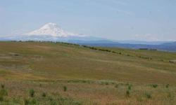 Beautiful view of Mt. Adams & sweeping view of the valley from West to East. Pond and seasonal creek runs on east side of the property. Very close to DNR land for hunting, horseback riding, etc. Power available just up the road. Surveyed, property corners