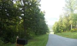 2.97 Acres with views of nearby mountains. Restricted neighborhood of upscale homes adjacent to Conservation Easement. Relaxing location with an easy drive back into Asheville. Seller will consider financing. Well and septic needed.-Listing originally