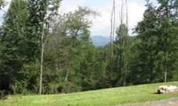 We offer underground power, paved roads, opportunities to enjoy nature and incredible mountain views! We are 20 minutes N of Asheville & 5 minutes from Mars Hill college. *MOTIVATED SELLER offers financing with acceptable offer*
Listing originally posted