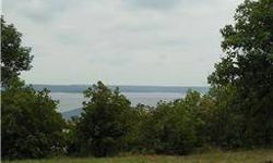 Fantastic year round view of Skiatook Lake! Over 1/2 acre prime building site in Santa Barbara Cove area.
Listing originally posted at http