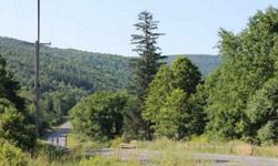 HUNTING LAND BORDERING STATE FOREST ----- Quality hunting acreage and borders NY State Forest! Year around, accessible acreage perfect for a log home or country cabin hideaway. Utilities available and clearing established for easy access onto the land.