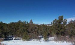 M&TN69-You can walk among the ruins of a previous life where the pioneers once had their homestead, gardens, and hunting grounds. This 35+ acre property is heavily treed but has a wonderful meadow where the old homestead once stood proud. There is still