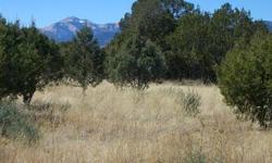 Beautiful level building tract. This 5 acres has views of Sierra Blanca, the Capitans & the Spencer Theater. Get out and walk this acreage and choose your spot to build. HOA $110.00 per year and horses allowed.Listing originally posted at http