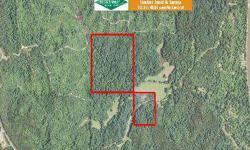 50 acre timberland tract in the hills east of Columbia in Caldwell Parish, LA This property is perfect for a small hunting tract. It is located less than one mile west of the Ouachita River behind a locked gate. There is good access and a great campsite