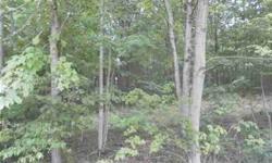 Hunting Paradise (great deer/turkey hunting). Great place for a cabin/weekend retreat or to build a lace to live in the woods. Property is only 5-6 miles to Raccoon Lake for boating/fishing. There is a single wide mobile home on property not owned by