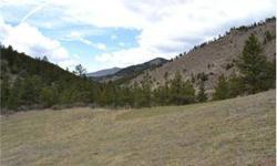Easy access to this gorgeous Buckhorn Canyon building site. Off of maintained county road with electrical easement in place. Perfect mountain setting for year round home or cabin. Abuts National Forest to the West and has awesome canyon views. Close to