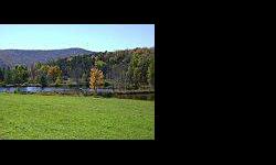 Estate like setting with water and mountain views....build your dream home on this special parcel of meadows, a little woods and two gorgeous stocked ponds high above the catskill mountain village of stamford. Listing originally posted at http