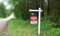 Prime location to build your, dream home! Nicely forested (shy five acres) on a corner lot.