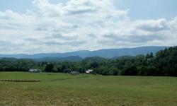Build your dream home today! Gently rolling farmland along with beautiful mountain views combine for a can't miss opportunity! Listing originally posted at http