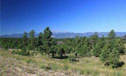 Full custom to be built by the number one custom home builder in the Pikes Peak region! Design your plan directly with the architect himself. Build your dream home from the ground up on this expansive view lot. 360 degree views of beautiful Colorado!