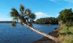15 ACRES OF HOMOSASSA WATERFRONT PARADISE! PANORAMIC VIEWS OF BEAUTIFUL SUNSETS SETTING OVER THE CHASSAHOWITSKA WILDLIFE REFUGE. 1500 FT OF PRIVATE SHORELINE ON WILD MASON CREEK, WHILE FLOCKS OF PELICANS & IBIS GLIDE ABOVE THE OAKS, PINES AND CEDAR TOPS.