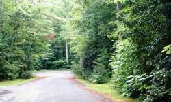 Large lot at end of street. Approx 1.56 acres with two small streams, beautiful mountain laurel and rhododendron, large trees. Easy build with lots of privacy. Area of upscale homes with mountain trout lake, beach and swimming area. Close to small town of