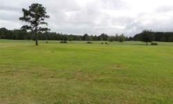 Considering packing it up, leaving the cold and high cost of living? Well this is your chance! Cleared and ready to build your dream home, this home site sits on the beautiful third hole par five at Crow Creek Golf Course. This very desirable gated