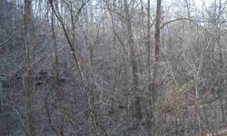 Beautiful building sites with driveway already built. Public water available, perk sites aproved. If you want wooded land and privacy, yet very convenient to New River Valley and the Roanoke/Salem area, this is a perfect location for your dream home or