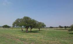 Fulfill a lifetime dream by building a lavish dream home on this 2.14 acre lot in the first residential winery in Texas. The Vineyards at Florence offers amazing views, a private tennis court, pool, pasture areas and fitness area. This lot overlooks the