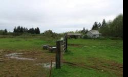 Priced to sell! Over 35 acres of property under $100K. Home is in need of some TLC. Includes a barn with stalls, gated entry and separate driveway to barn area, barbed-wired fencing surrounds property that has a small river front. No where else can you