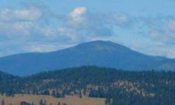 Incredible views of Mt Spokane. Great Legacy Ridge lot which borders large common area and this is a large lot with walking trial, park nearby. This is the perfect lot to build your home on.Listing originally posted at http