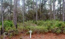 Located in the beautiful piney woods of south walton county, this large 1/2 acre lot offers the opportunity for a tranquil, private lifestyle yet it is less than a half mile from the southern shores of choctawhatchee bay and less than five mi.