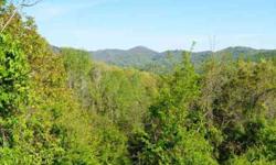 Large building lot with convenience to Country Club of Asheville. Close to Downtown Asheville and minutes to shopping. Portion of PIN. Acreage approximate; seller will provide survey.Listing originally posted at http