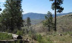This 40 acre parcel is surrounded by 240 acres of public land on 3 sides. This Southern exposed property has stunning evening views of Lake Chelan and Wapato Lake from among the pines and meadows. There is a spring to support an abundance of wildlife.