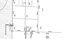 20 Acres with building perrmit...allyou will hear are sounds of nature! Existing well; off-grid requires generator; beautiful level building site. Parcel has tall trees, peaceful seclusion. NOT a drive-by. Call listing agent for info.
Listing originally