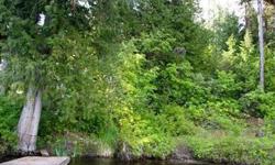 2 parcels included in this listing, the waterfront lot has 50' of frontage, the other lot is a secondary lot directly behind the primary lot and good place for a future septic system. Both lots are treed and have easy access to Mountain View Road. A dock